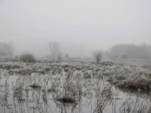 Menno 02 Meinerswijk